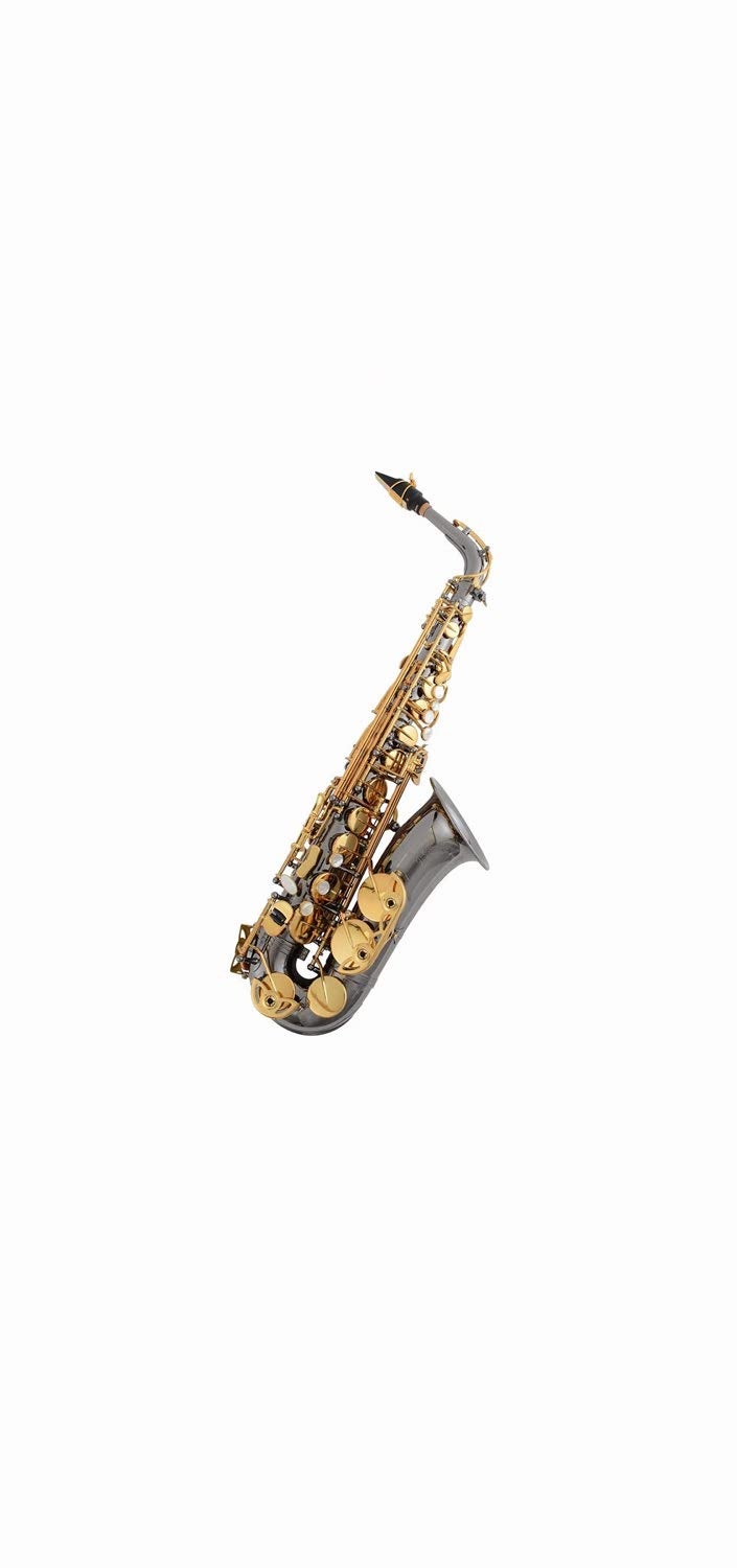 Forestone saxophone outlet